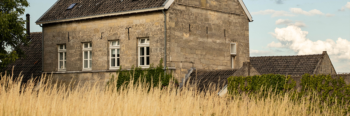 apostelhoeve late harvest