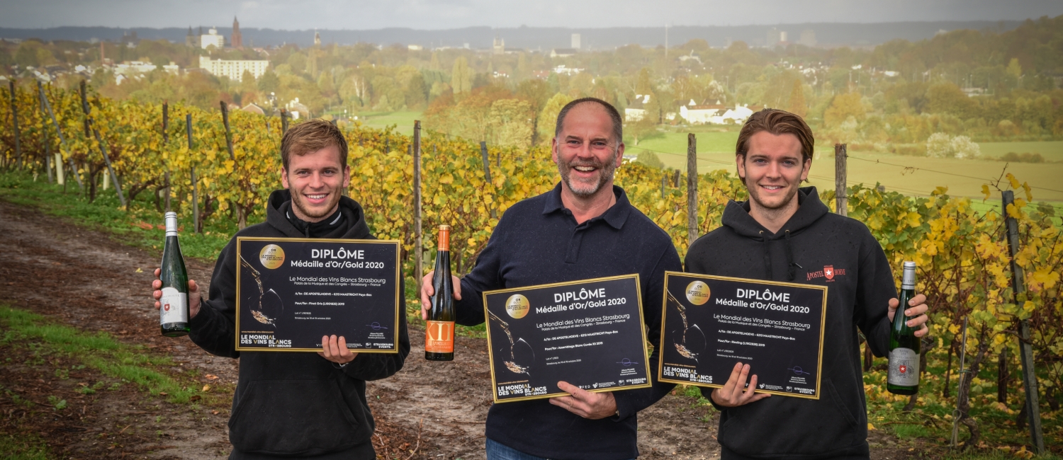 Weingut Apostelhoeve gewinnt prestigeträchtige französische Weinpreise!