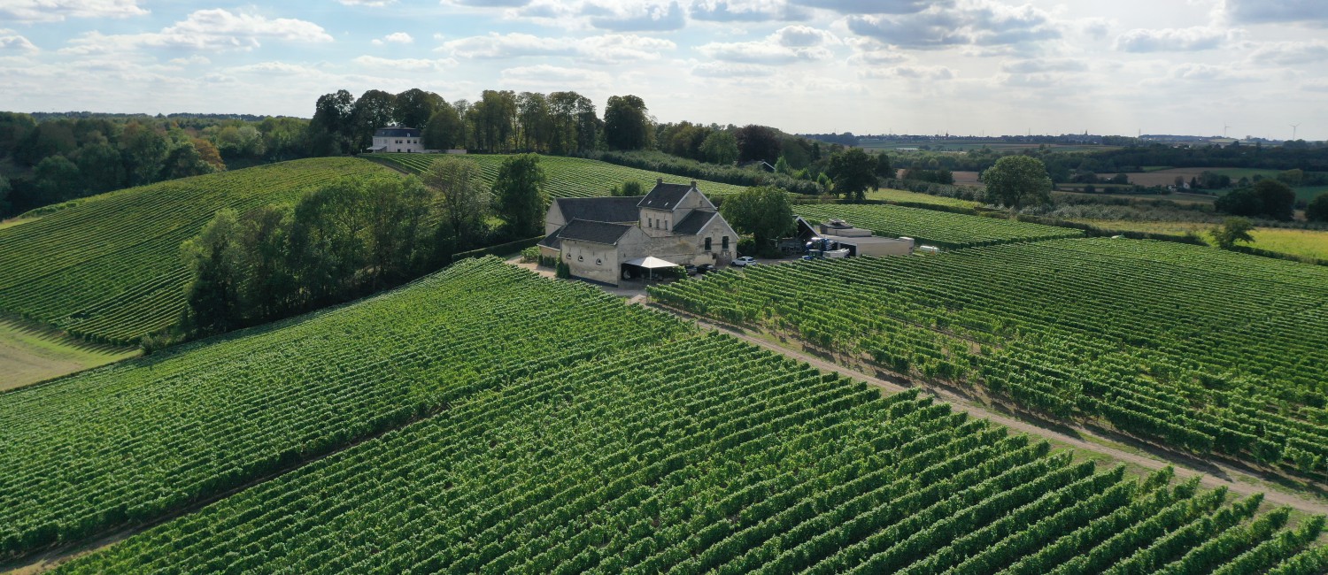 Apostelhoeve produziert seit 1970 als erstes Weingut in den Niederlanden Weine von höchster Qualität.