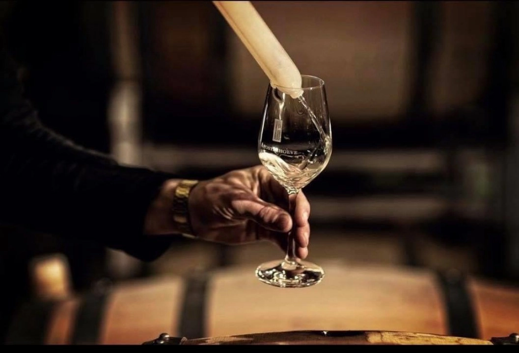 The 2019 vintage wine