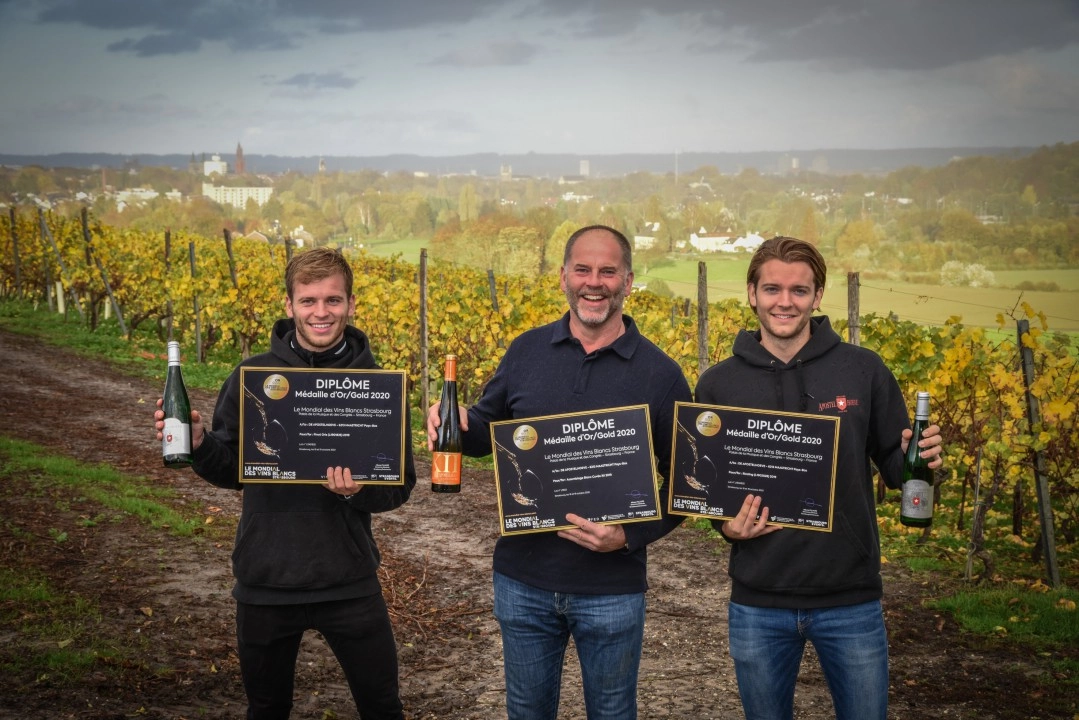 Vineyard Apostelhoeve wins prestigious French wine awards!
