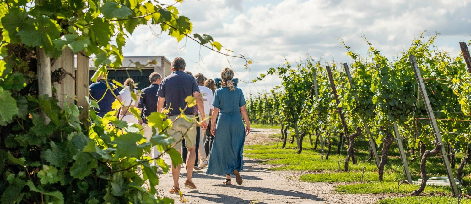 Entdecken Sie das Weingut Apostelhoeve auf einer persönlichen Weise