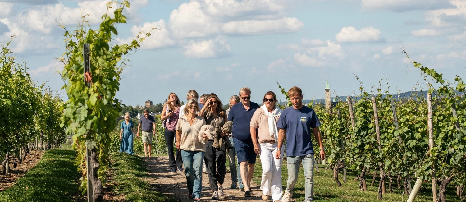 Entdecken Sie das Weingut Apostelhoeve auf einer persönlichen Weise